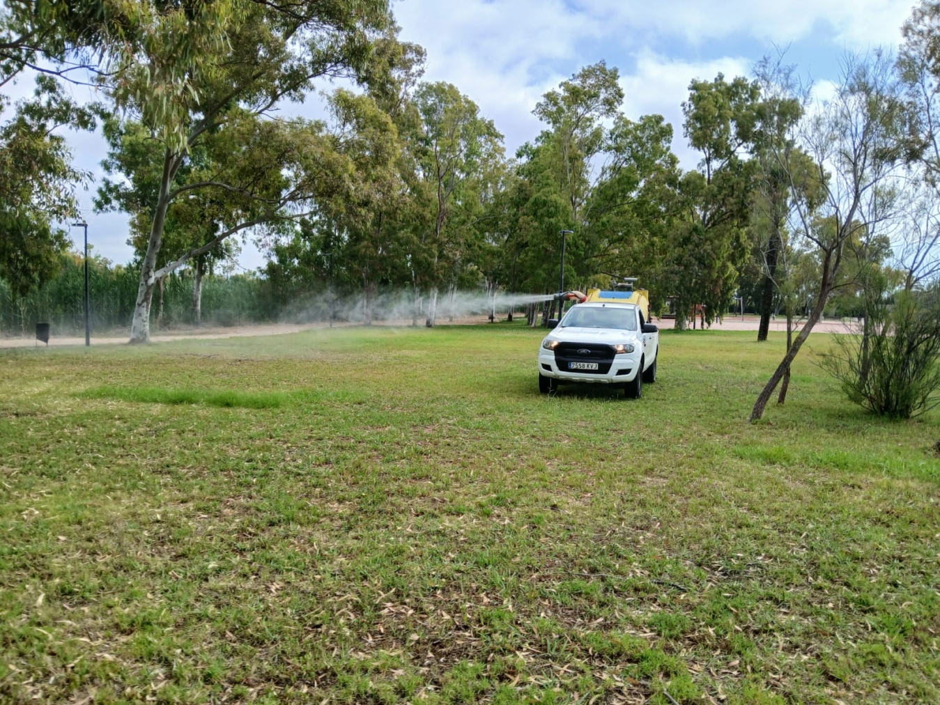 La Diputación de Castellón refuerza los tratamientos contra los mosquitos en las marjales litorales tras las últimas lluvias